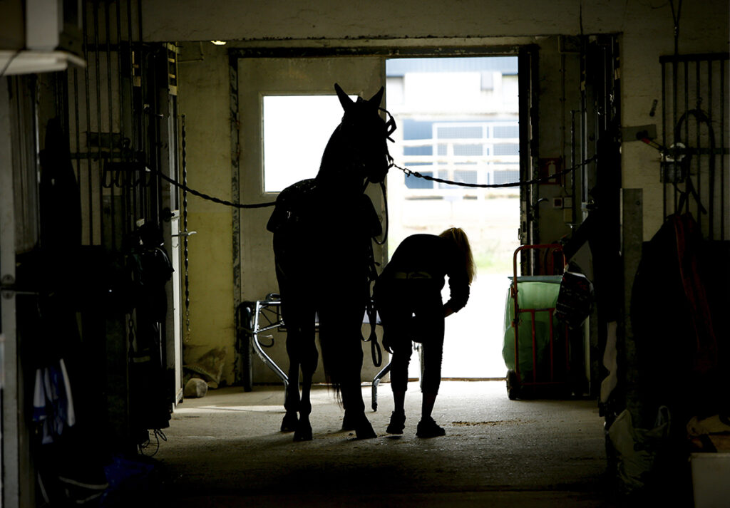 hästskötare med häst på stallgång i motljus