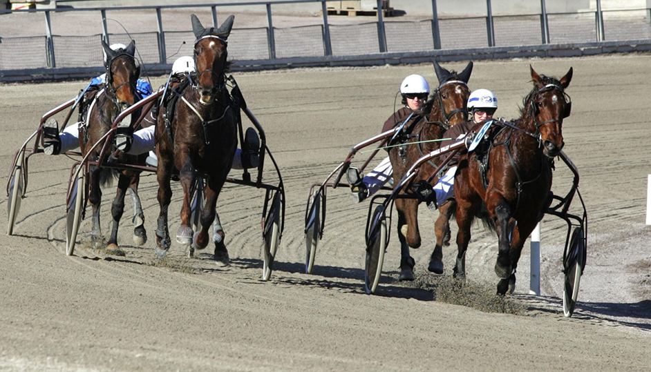 Premieloppshästar på Solvalla